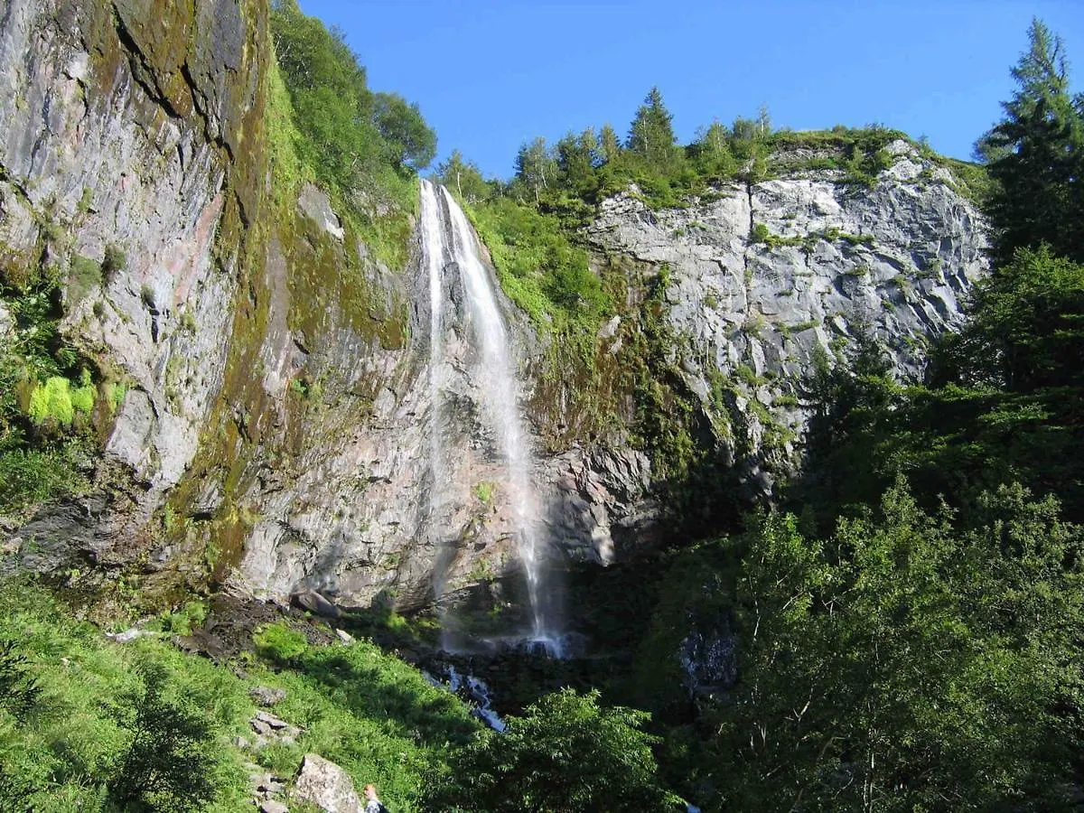 T2 Cosy Avec Jardin, Proche Centre, Chien Accepte - Fr-1-608-59 Apartment Le Mont-Dore France